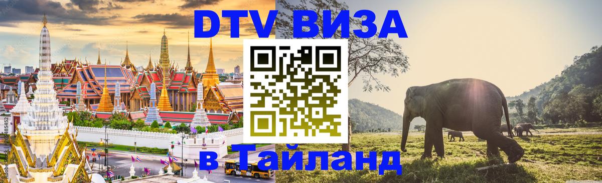 Оформление DTV визы под ключ: стоимость и тарифы, только загранпаспорт - 